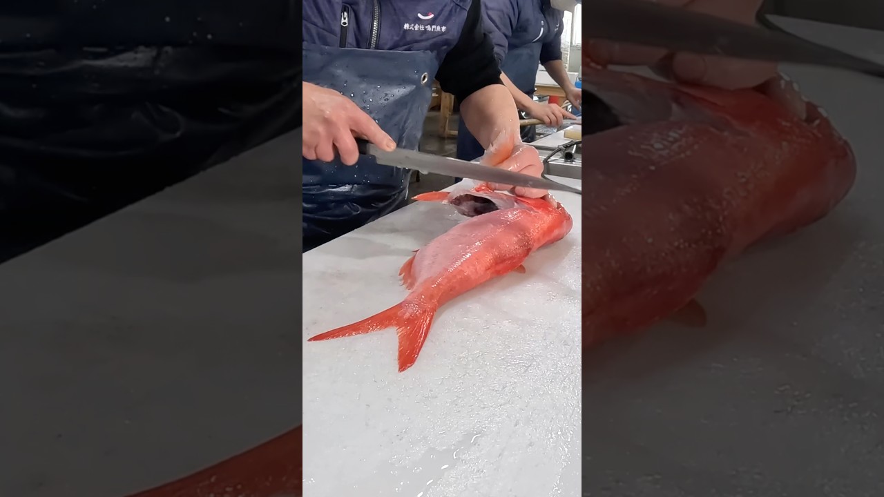 子供に褒められる師匠