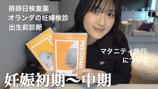 【妊娠記録】オランダ在住妊婦のあれこれ。妊活|排卵日検査薬|妊婦検診|出生前診断|妊娠初期中期|マタニティ旅行|海外出産