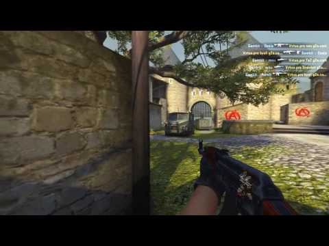 PashaBiceps vs. Gambit - DreamHack ZOWIE Open Bucharest 2016