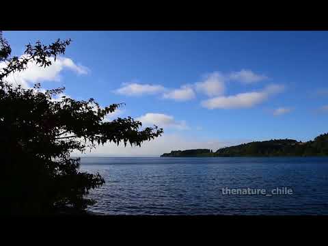 Lago Llanquihue Región de Los Lagos Chile 8
