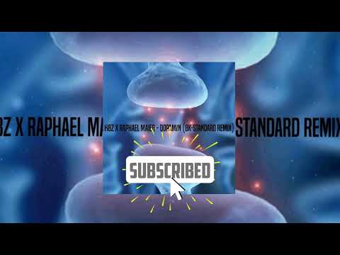 HBz x Raphael Maier - DOPAMIN (Bk-Standard Remix)