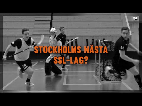 FLINKEN TRÄFFAR | FBI TULLINGE