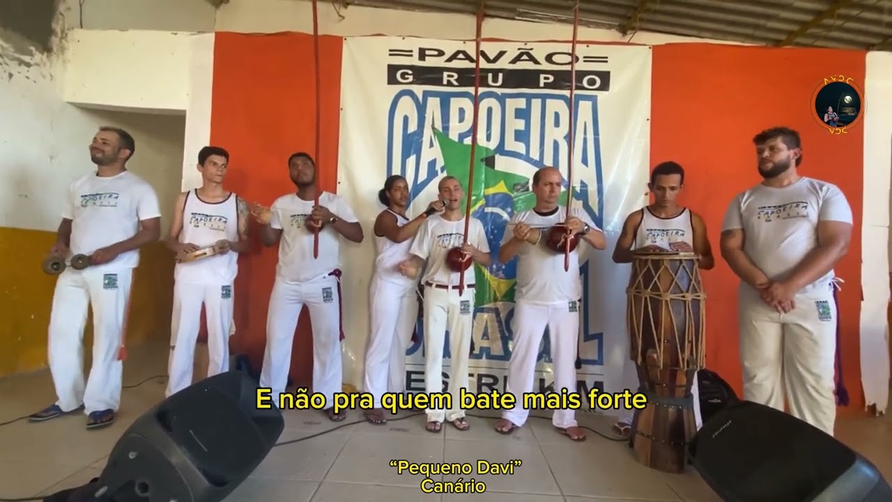 VDC - 2ª Etapa do Festival... Graduado Canario - 2024. #19