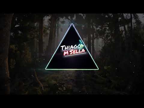 MC Neguinho ITR e MC Brinquedo - E PRA BOTAR NESSE /Grave Forçado+