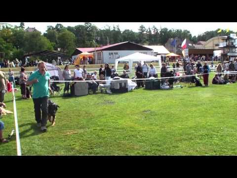 Balboa a Bono o umístění - MVP Mladá Boleslav