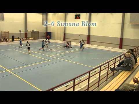 Blue Fox-Nibacos Ladies la 11.9.10.mpg