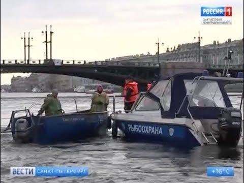 Инспекция Северо-Западного управления Росрыболовства и пограничные войска ФСБ провели совместный рейд на Неве
