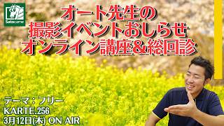 【写真講評】オート先生の総回診【KARTE.256】テーマ：フリー