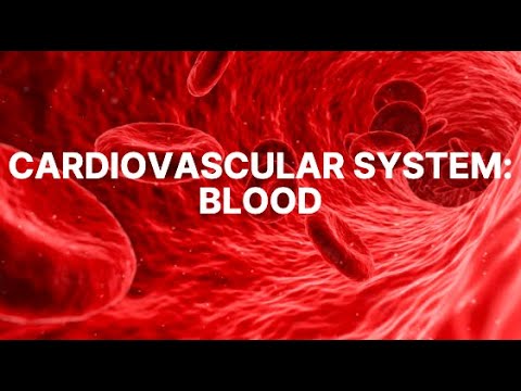 Cardiovascular System: Blood Part 1
