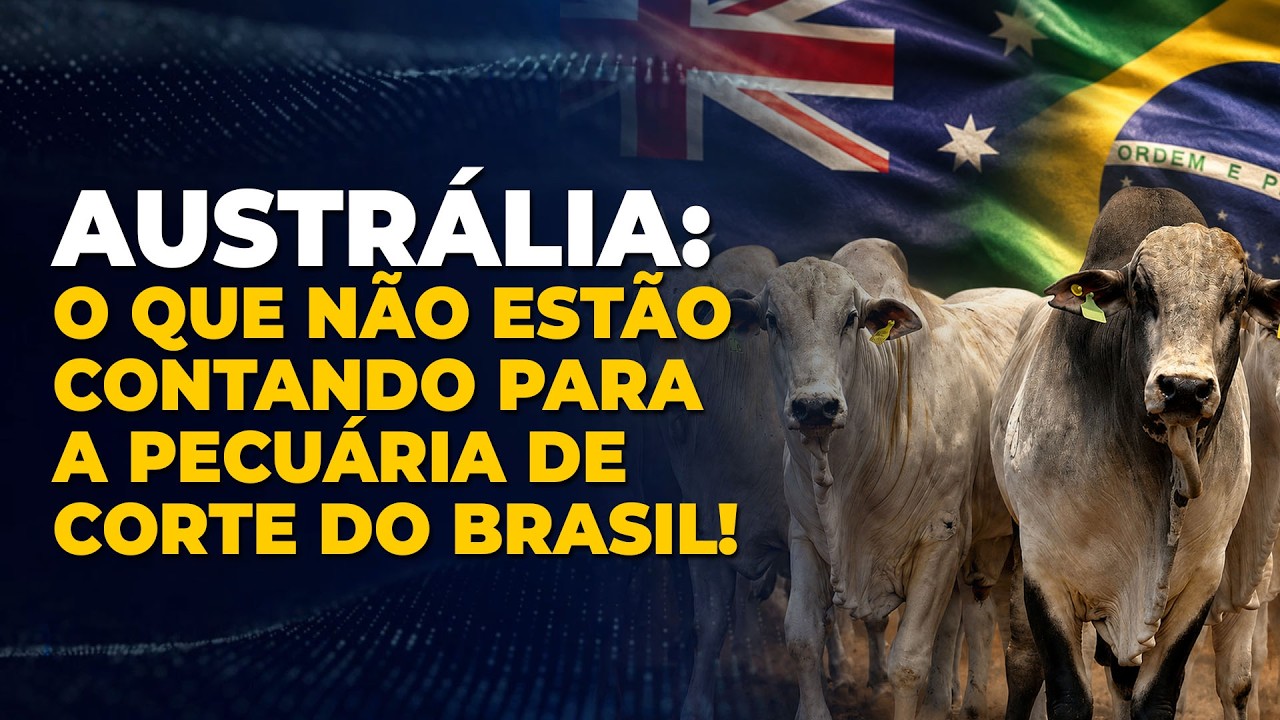 AUSTRÁLIA: O QUE NÃO ESTÃO CONTANDO PARA A PECUÁRIA DE CORTE DO BRASIL!