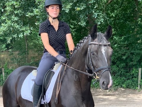 FILIA 6j. v. Fürsten-Look - San Amour I  -for sale-