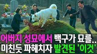 Download lagu 진돗개가 파헤친 아버지 묘에서 발견된 '이것'..아무도 상상못한 충격적 진실 mp3