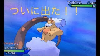 【USUM】色ランドロス厳選！ついに出た！！！