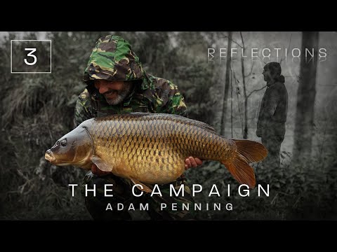 Chapter Three | The Campaign | Reflections | Volume Four | Adam Penning | Carp Fishing