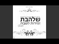 Mah Yedidut
