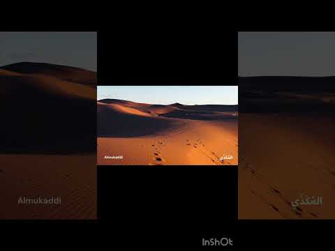 Oh You Who Believe Fear Allah..2/3 #quran