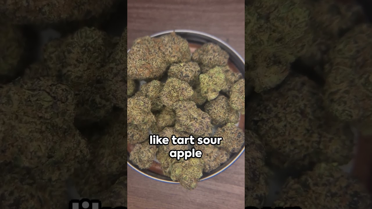 Apple Tartz Cannabis Strain  - Golden Leaf Strain of the Month