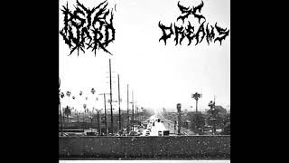 Psyk Ward   South Central Dreams (New Single)