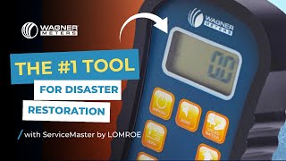 How a Moisture Meter Can Be Your Tool to Find Mold