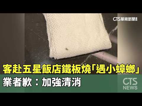 客赴五星飯店鐵板燒「遇小蟑螂」　業者歉：加強清消