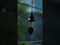 Rain Status Barish Status Rainy Days Mosam Mosam Status Rain Whatsapp Status