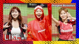 【台湾チア】LIKE 賴可 / Dragon Beauties小龍女 / 2023年見到啦啦隊 #57 [中文歌詞]