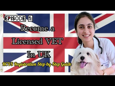 Veterinary Licensing Process to work in UK| RCVS Registration Explained| Episode 1 #vet #uk #license