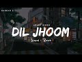 Dil Jhoom Slowed Reverb Arijit Singh Gadar 2