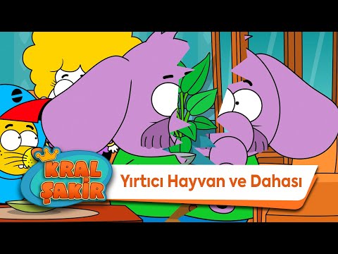 Yırtıcı Hayvan ve Dahası - Kral Şakir