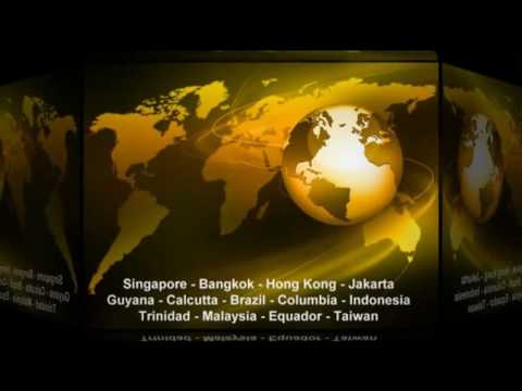 Tropical Fish Wholesale Importer Wash. DC Tropical Fish Supplier