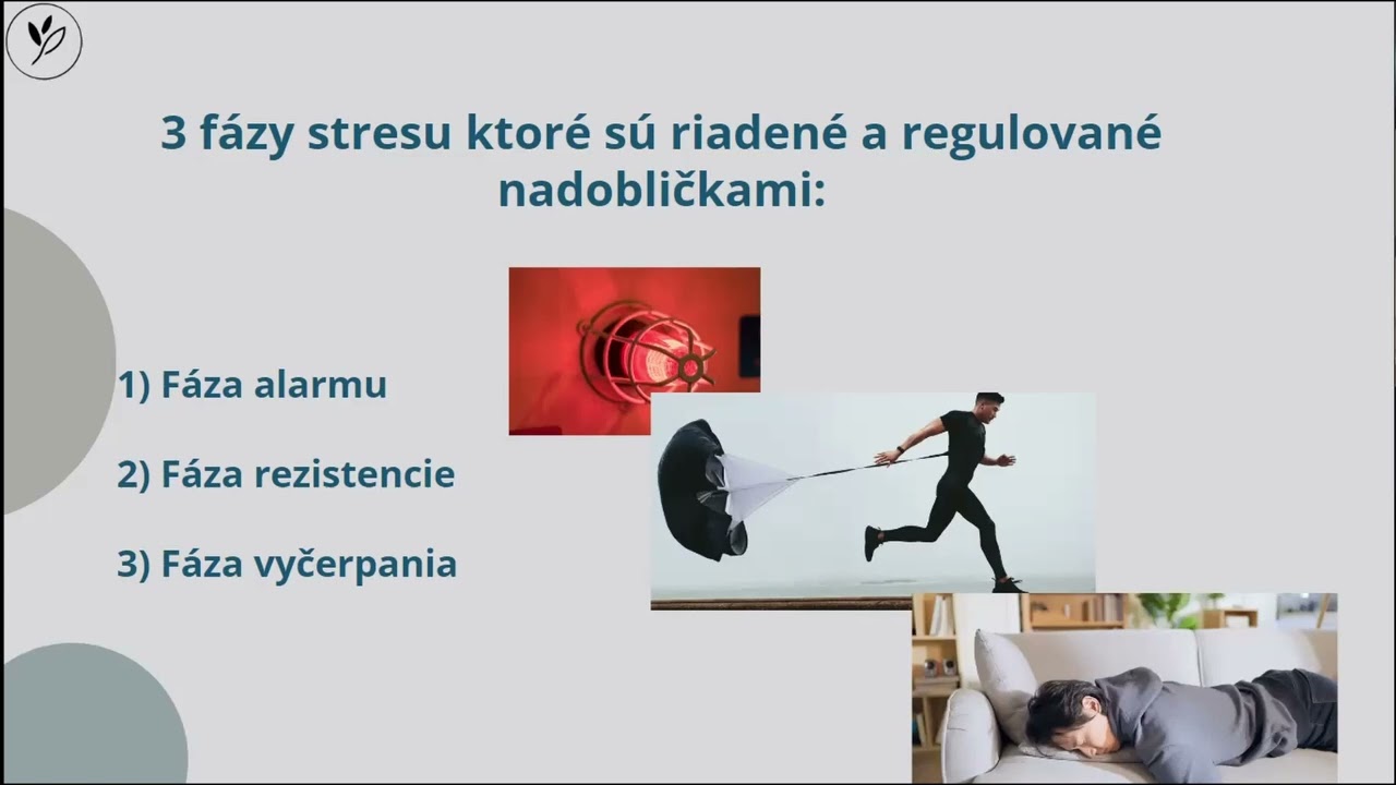 5. Odhaľte 8 príčin únavy – Lekcia 3: Kortizol, stres a spánok