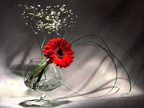 Bunga Merah Punya - Zul Huzaimy