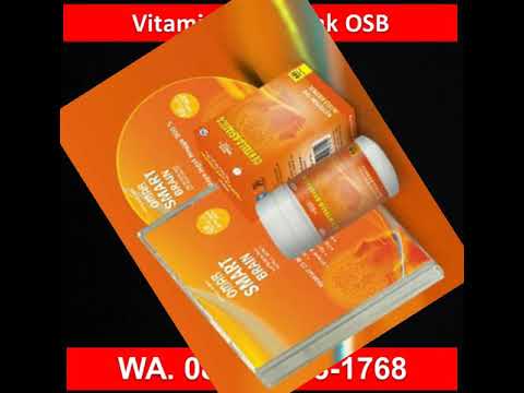 0857-8513-1768 Nutrisi Otak Untuk Anak Balita,  Anak Yg Bagus, Otak Anak