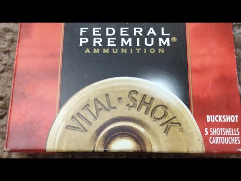 Remington vs Black Cloud vs Winchester vs Federal (4 Shot Comparison)