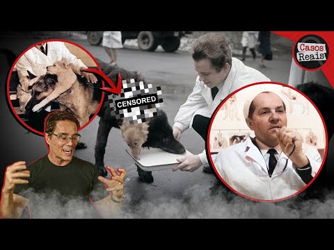 Casos Reais and 2 more