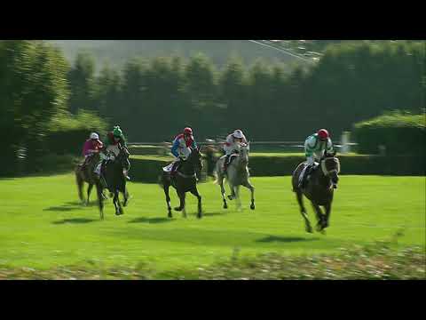 4. 9. 2021 - 5. dostih - Velká cena města Pardubic – EURO EQUUS – IV. kvalifikace na 131. Vp se Sp