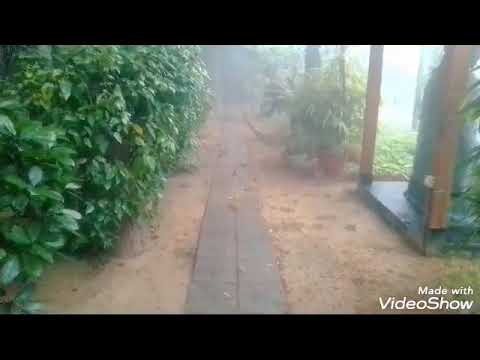 Bharara rani chari.. Bina kumari dura