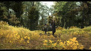 Rambling Through FFXIV - There is Life by Alison Krauss (Travelling through Eorzea on foot...mostly)