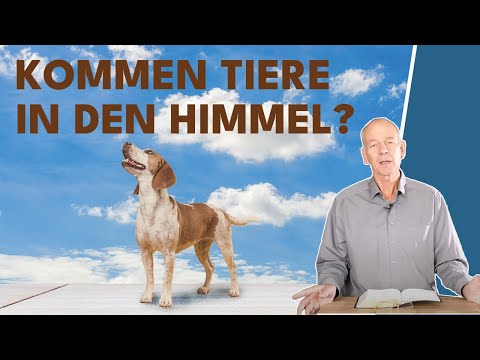 Kommen Tiere in den Himmel? || Stefan Drüeke