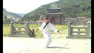preview picture of video 'Wudang Wushu  武当武术'