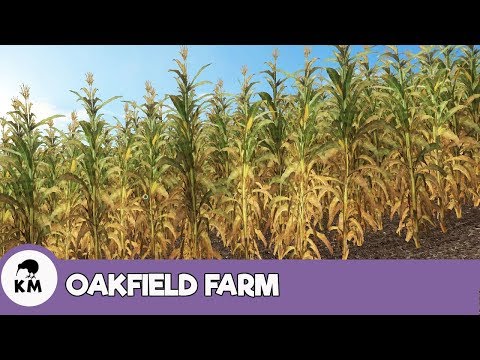 Oakfield Farm [Hard] Ep 14 - Corn Harvest | Farming Simulator 17