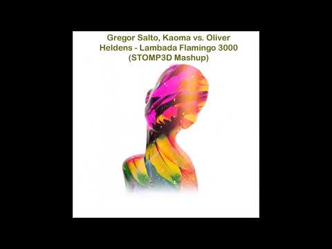 Gregor Salto, Kaoma vs. Oliver Heldens - Lambada Flamingo 3000 (STOMP3D Mashup)