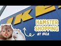 Shopping for my Hamsters at IKEA