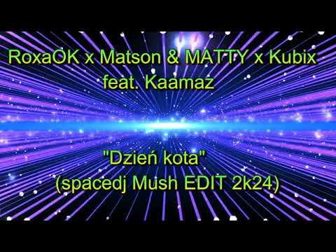 RoxaOK x Matson & MATTY x Kubix feat. Kaamaz - Dzień kota(spacedj Mush EDIT 2k24)