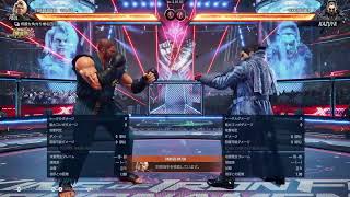 鉄拳8 ポール 380 コメント質問歓迎