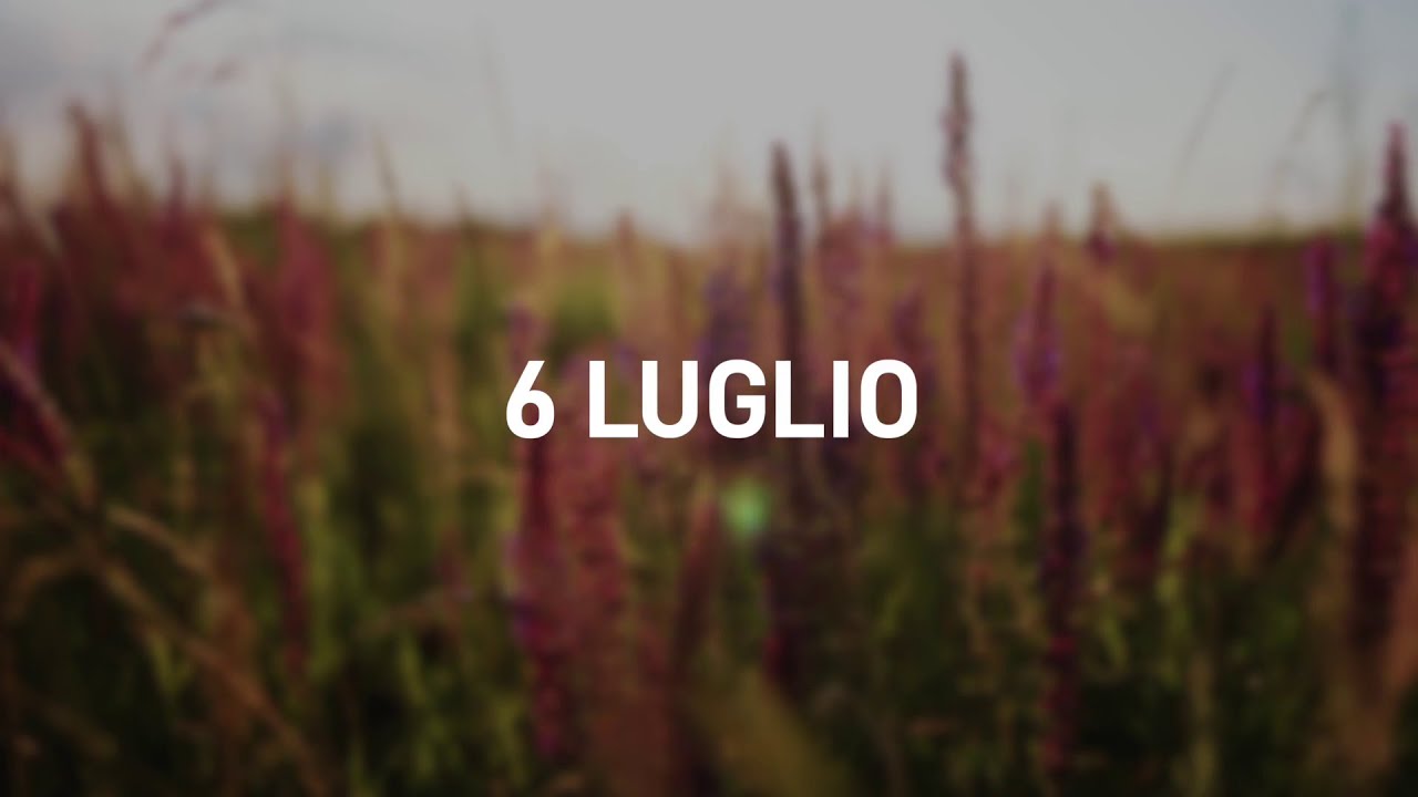 6 Luglio 2025 | Meditazione Parole di Vita