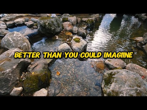 THIS is your DREAM pond!