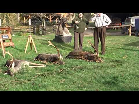 Masurenjaegerhof.de - Angetreten zur Damhirschehrung