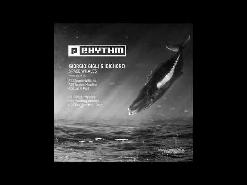 Premiere: Giorgio Gigli & Bichord - Let It Fall [Planet Rhythm]