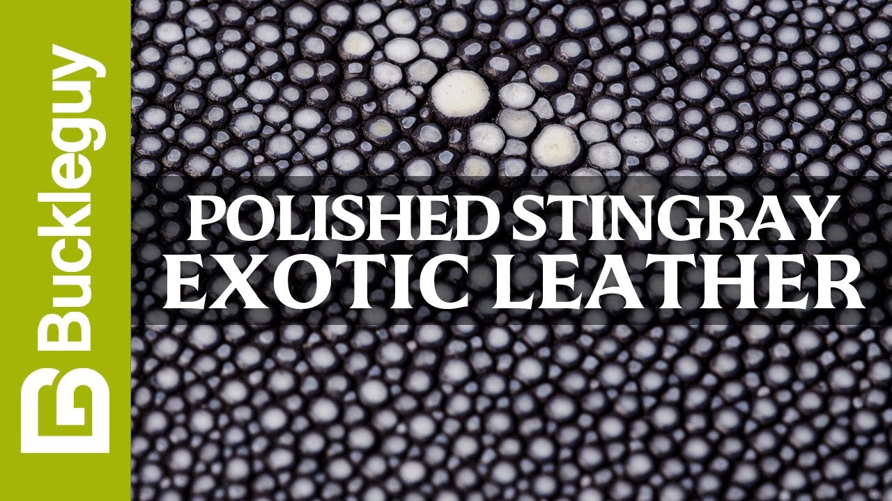 Exotic Leather, Polished Stingray | Full Grain Leather Demo